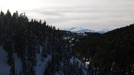 Exciting-aerial-scene-over-a-the-incredible-forests-of-Garibaldi-Provincial-Park-with-view-of-the-snow-covered-Coastal-Mountains-on-a-overcast-day-in-winter