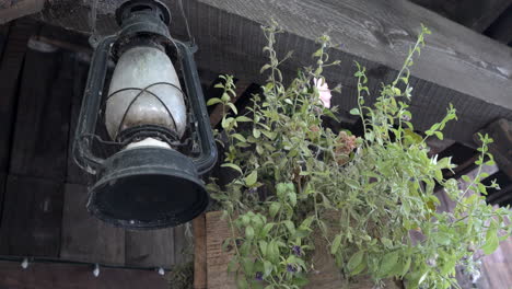 Rustic-Black-Lantern-with-White-glass-Hanging-from-Wooden-Beam-near-a-green-plant,-Covered-in-Cobwebs