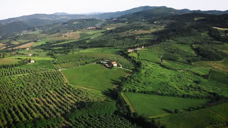 Typical-Tuscany-Aerial-Landscape-Of-Hills,-Vineyards-In-Italy