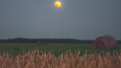 Time-lapse-of-yellow-moon-descending-on-fields-with-bales-of-hay
