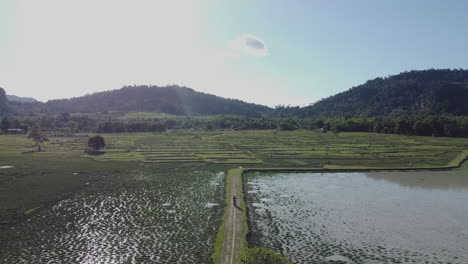 Drone-shot-of-a-person-cycling-on-farm-road-in-Langkawi-island,-Kedah,-Malaysia