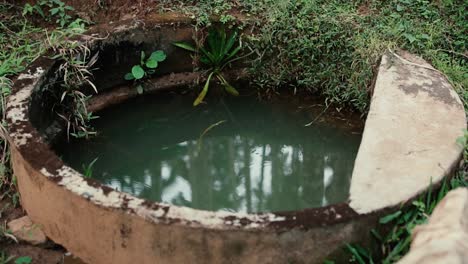 Water-well-with-green-water-and-small-insects-flying-around