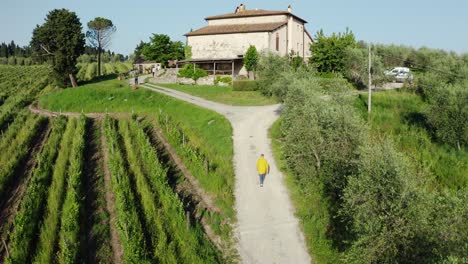 Fabricación-De-Vid-En-Toscana,-Hombre-Caminando-Por-El-Viñedo