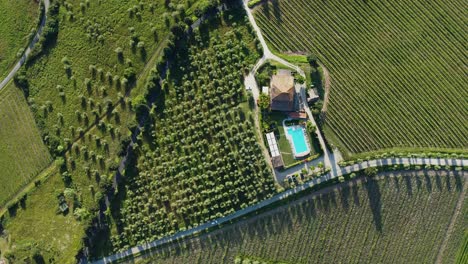 Aerial-Top-View-Of-Old-Villa-House-And-Vineyard,-Tuscany,-Italy