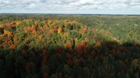 Panorama-timelapse-view-of-autumn,-colorful-forest