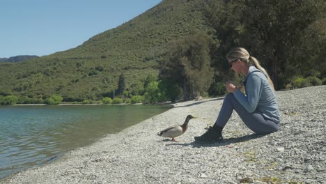 Woman-feeds-duck-on-pebble-beach-at-Wilson-Bay-of-Lake-Wakatipu,-summer
