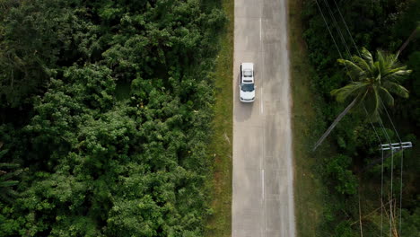 Overhead-Shot-Of-Car-Moving-On-Rural-Road-Surrounded-With-High-Rise-Trees