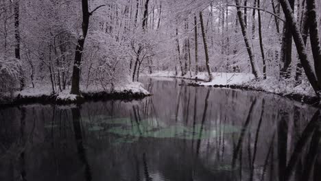 Peaceful-Niebieskie-Zrodla-Blue-springs-winter-landscape-famous-shimmering-pool,-Poland-during-snowfall