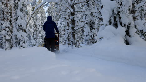 Husky-Hundeschlittenteam,-Das-Schlittenfahrer-Durch-Schneebedeckte-Waldwege-Zieht