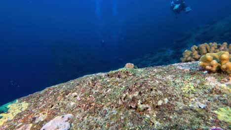 Schweben-über-Einer-Unterwasserklippe-Auf-Den-Similan-Inseln
