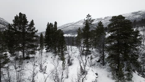 Drone-flight-over-Norwegian-winter-landscape-covered-in-snow