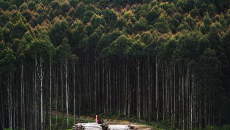 área-De-Deforestación
