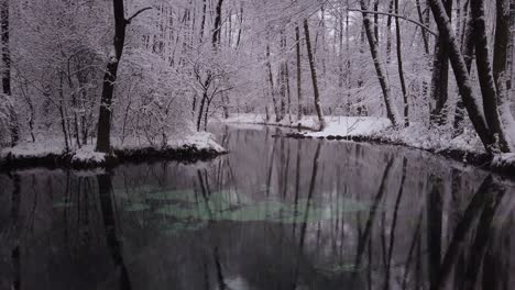 Gentle-snowfall-across-Niebieskie-Zrodla-Blue-springs-famous-shimmering-pool,-Polish-winter-scene