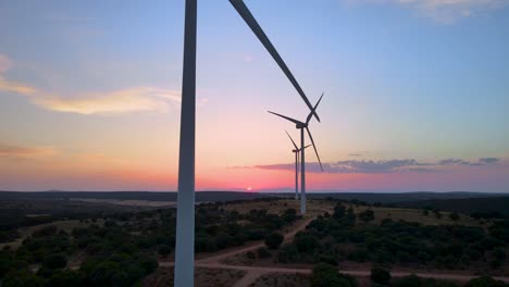 Camera-pulls-back-to-show-wind-turbines-farm-silhouettes-in-a-forest-against-low-sun