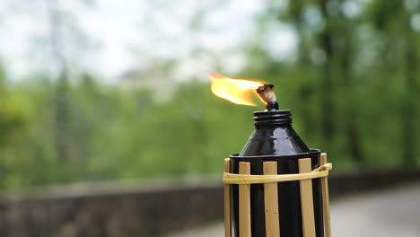 Decorative-Tropical-Candle-Using-Oil-Fuel-or-Kerosene