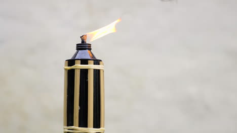 Liquid-Fuel-Bamboo-Torch-Burning,-nature-background