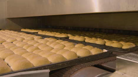 Trays-of-bread-buns-rolling-out-of-the-oven