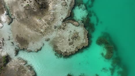 Aerial-view-above-the-stromatolites-formations,-at-the-Bacalar-lagoon-in-Mexico---top-down,-drone-shot