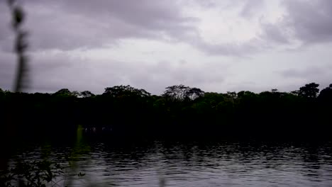 Tarcoles-river-Crocodile-Habitat-in-Costa-Rica-at-dusk-with-dark-jungle,-Handheld-wide-shot