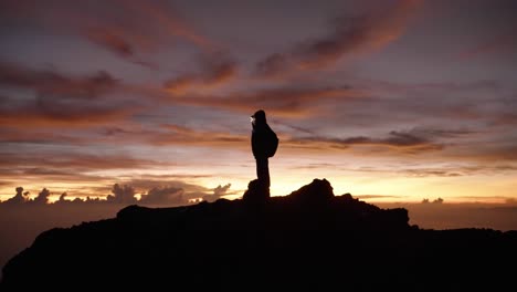 Silhouette-of-Hiker-With-Headlamp-on-Summit-of-Mount-Rinjani-in-Indonesia-on-the-island-of-Lombok-at-Colorful-Purple-Pink-Sunrise