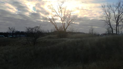 Sun-rising-behind-a-dead-tree-on-a-cloudy-day