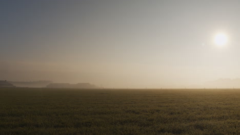 A-warm-sunrise-field-over-a-grassland