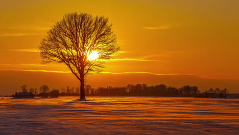 Vibrant-golden-sunset-behind-the-silhouette-of-a-tree-as-the-wind-drifts-snow-across-the-frozen-ground---time-lapse