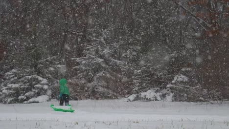 Young-Boy-Running-Through-Snow-Towards-Snow-Covered-Christmas-Trees-While-Pulling-Sled,-Gently-Falling-Snow-Slow-Motion