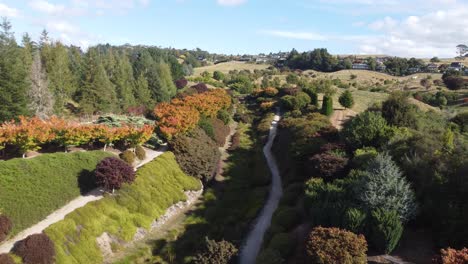 4K-drone-shot-of-maple-garden-in-New-Zealand