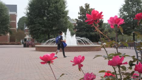 University-student-walks-to-class-in-scenic-plaza
