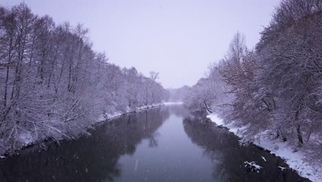 Sanfter-Schneefall-Am-Fluss-Pilica-Verschneite-Polnische-Waldnaturreservat-Winterszene