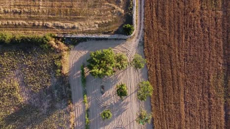 Aerial-view-of-fields-in-a-rural-area-on-the-island-of-Mallorca