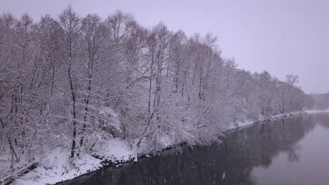 Schwenk-über-Den-Fluss-Pilica-Und-Schneebedeckte-Wälder-Im-Polnischen-Naturschutzgebiet-Mit-Sanftem-Schneefall
