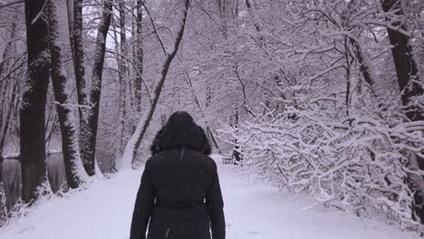 Warm-dressed-female-rear-view-walking-along-snowy-pathway-Niebieskie-Zrodla-nature-reserve-woodland
