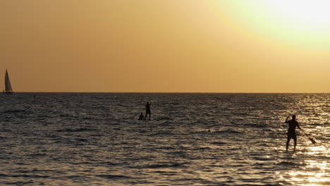 Silhouette-of-people-doing-Stand-Up-Paddle-at-sunset,-boat-in-background