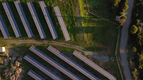 Top-down-aerial-of-Solar-Power-Station-farm,-zooming-in,-Renewable-Energy