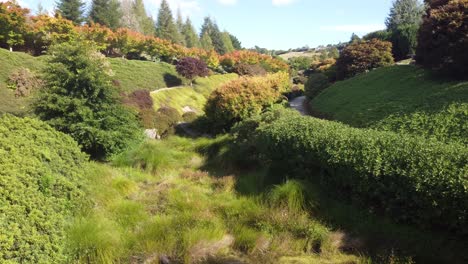 4K-drone-shot-of-maple-garden-in-New-Zealand