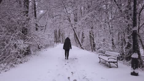 Warm-dressed-female-rear-view-walking-along-snowy-Niebieskie-Zrodla-woodland-winter-pathway-scene
