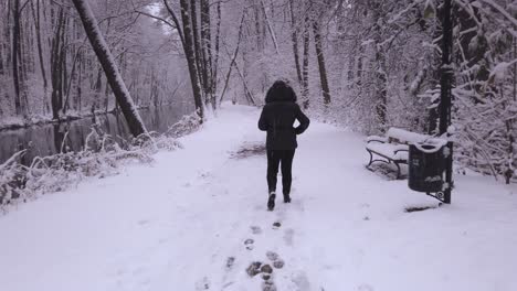 Warm-dressed-female-rear-view-walking-along-snowy-Niebieskie-Zrodla-riverside-woodland-winter-scene