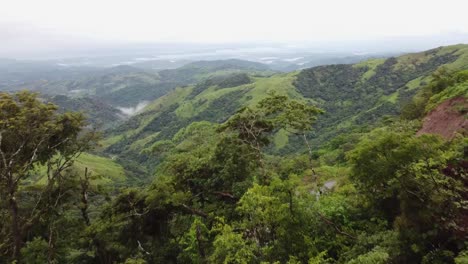 Vuelo-A-Través-De-La-Selva-Tropical-De-Monteverde-En-Costa-Rica-En-América-Central
