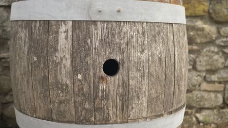 Zwei-Große-Wespen-Bauen-Ein-Nest-In-Einem-Alten-Weinfass