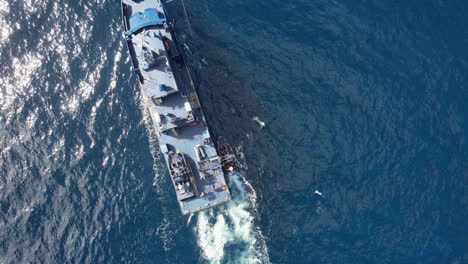 aerial-shot-from-above-on-a-patrol-boat-of-the-national-customs-police-against-drug-trafficking