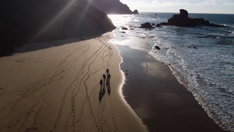 Un-Grupo-De-Surfistas-Y-Un-Perro-Caminando-Por-La-Playa-Durante-La-Puesta-De-Sol-En-Algarve,-Portugal