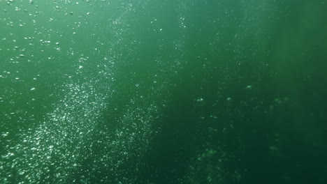 Burbujas-Que-Surgen-En-La-Columna-De-Agua-Durante-Una-Inmersión