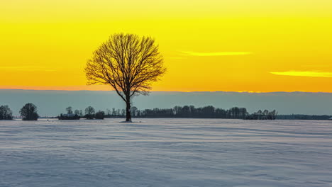Shot-of-snow-covered-farmland-with-sunset-in-the-background-over-yellow-skywith-white-clouds-passing-by-in-timelapse