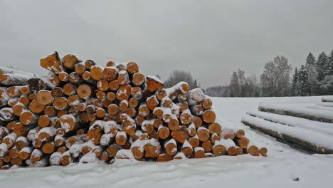 Stacks-of-log-piled-up-from-trees-harvested-from-the-forest-during-a-light-winter-snow