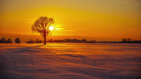 Timelapse-shot-of-golden-sunset-lighting-on-snow-covered-agricultural-fields-with-tree-silhouette-along-winter-evening