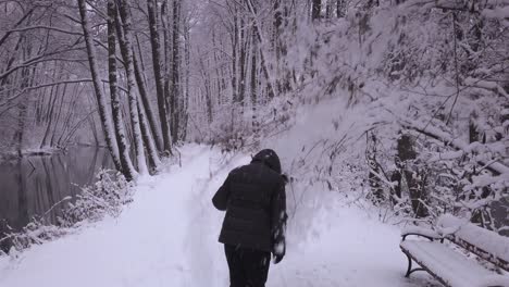 Warm-Gekleidete-Weibliche-Rückansicht,-Die-Einen-Schneebedeckten-Waldbaumzweig-Zieht,-Der-Sich-In-Weichem-Schneefall-Bedeckt