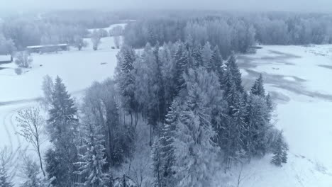 Cinematic-view-of-fresh-snow-falling-on-forest-landscape,-Aerial-view