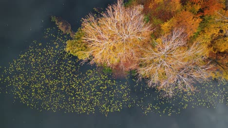 Aerial-view-of-lake,-river-and-forest-in-autumn,-Poland
